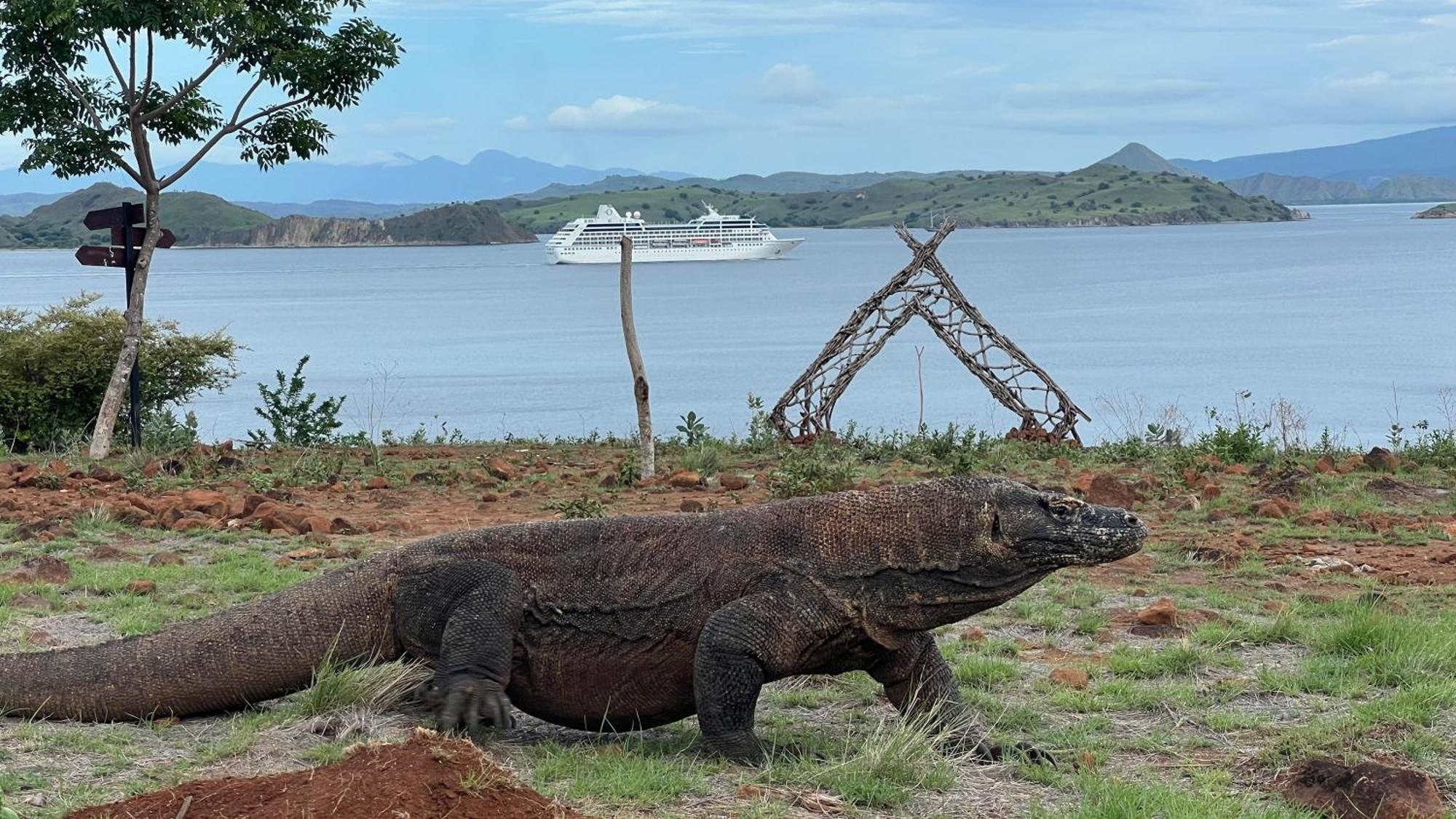 Jhuna Komodo Homestay 외부 사진